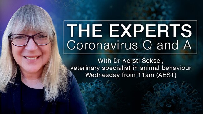 Dr Kersti Seksel, veterinary specialist in animal behaviour, answers your questions.