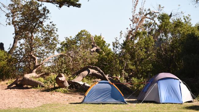 Foreshore camping at Rye, Rosebud and Sorrento will open in January.