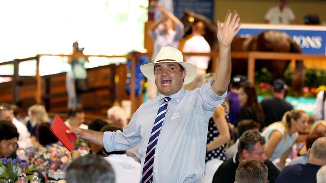 Magic Millions managing director Vin Cox hits the auction floor as a bid spotter during Lot 339, eventually secured by Gai Waterhouse, Aquis Farm and several other co-owners for day two’s biggest buy at $1.3 million. Picture by Scott Fletcher