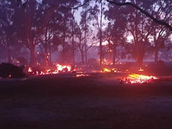 Part of the bushfires near Lucindale. Picture: Patrick James