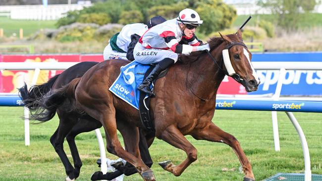 Pinstriped will attempt a second consecutive Group 1 win in the Makybe Diva Stakes. Picture: Racing Photos via Getty Images