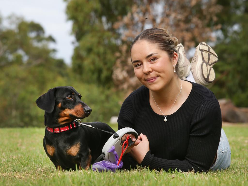NETWORK USE ONLY Doolacky have invented a a hands free Doggy Doo Holding device the clips to your log Lead .
Maddie Jameson with her dog miniature Daschund  Bobby .Picture Andrew Tauber