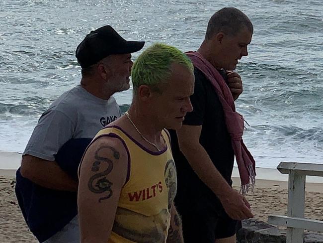 Shock Flea sighting on Bondi to Bronte walk