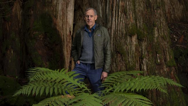 Former Australian Greens leader Bob Brown in the Denison Forest, Tasmania. Picture: Matthew Newton