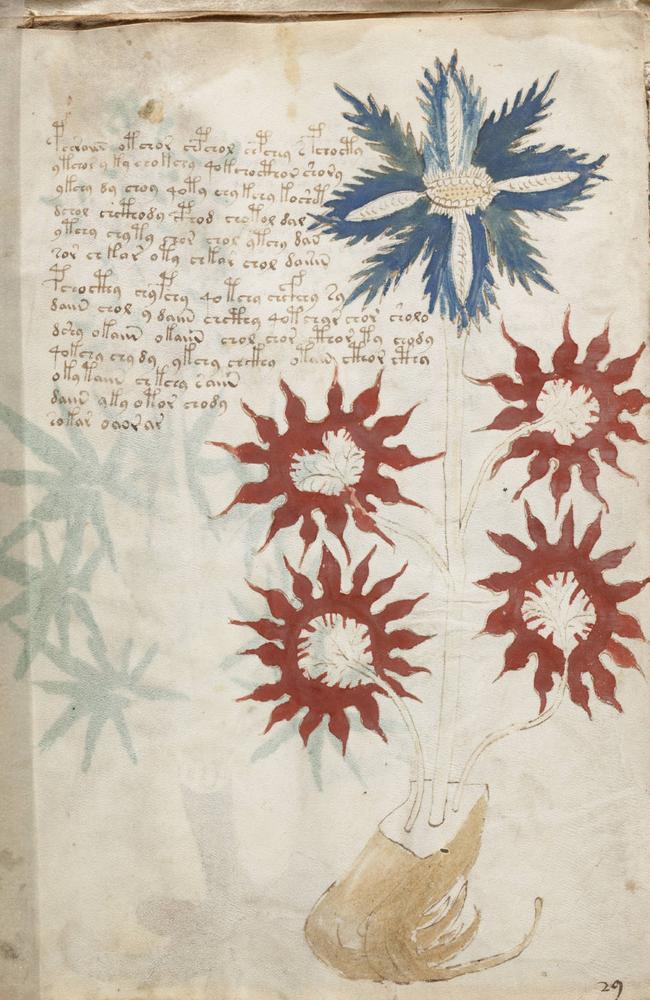 A page from the Voynich manuscript showing its indecipherable 15th century text.