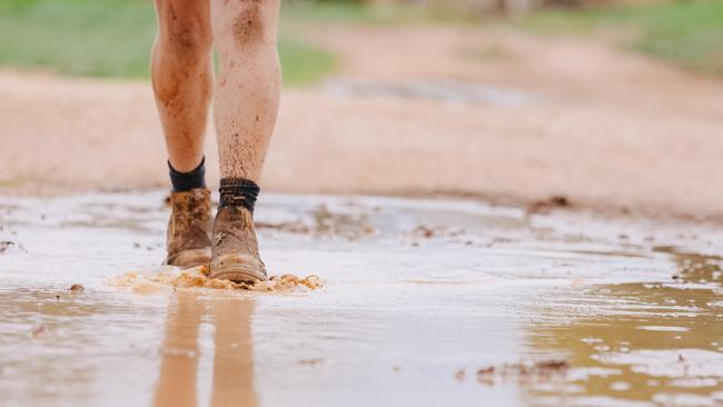 Most areas of NSW and Victoria received above average rain in winter. Picture: Chloe Smith