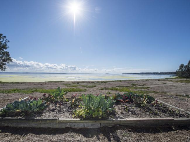 The community garden has become a place for people to meet, have a chat and grab some vegetables. Picture: Troy Snook