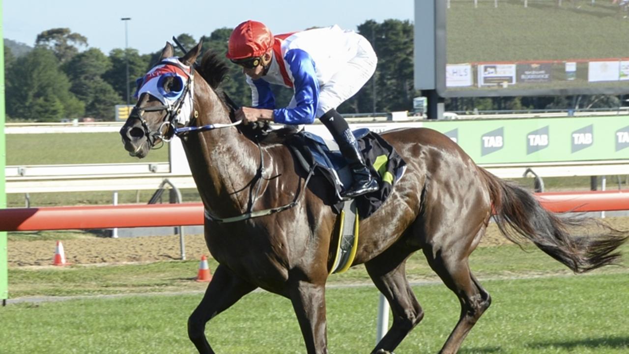 Sapphire Coast tips: Camerlengo primed for success