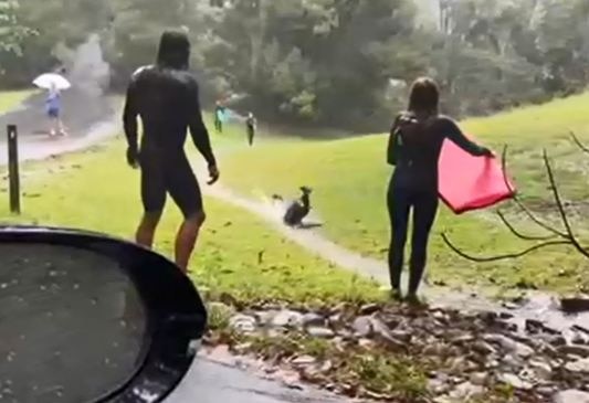 Currumbin residents make the most of the soggy weather