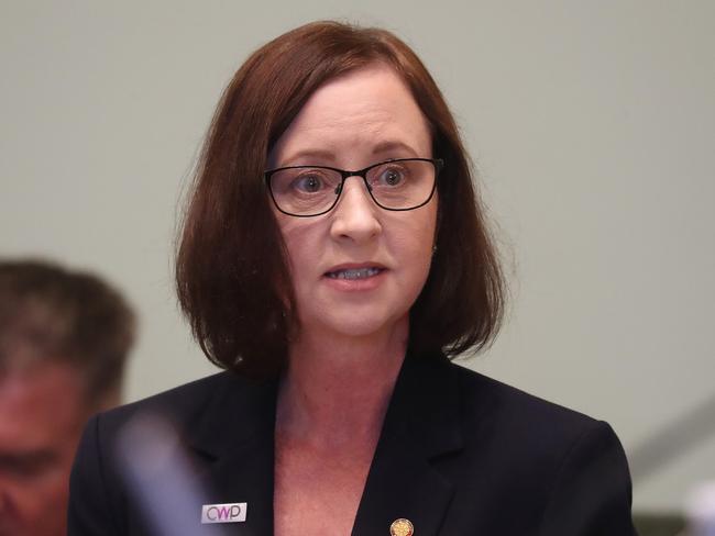 Health Minister Yvette D‘Ath said police will conduct random checks to ensure NSW residents comply with border pass restrictions. Picture: Annette Dew