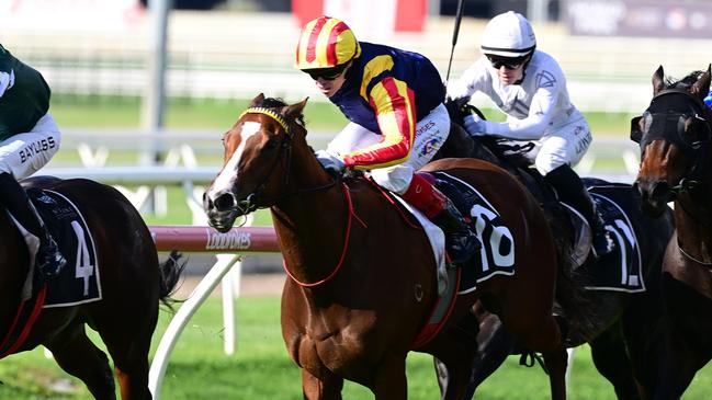 Spicy Martini secured her spot in the Group 1 Stradbroke Handicap after winning the Fred Best Classic at Doomben on Wednesday. Picture: Trackside Photography