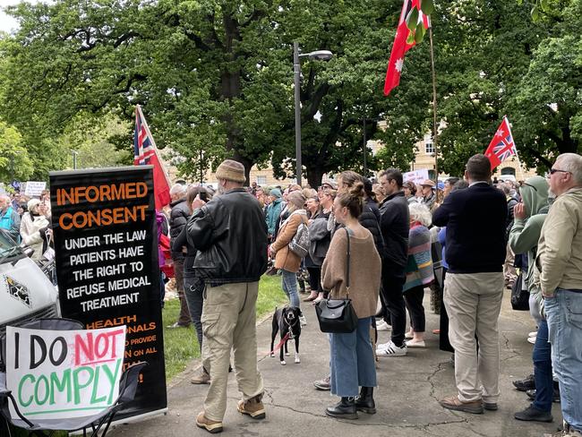 Protesters at the freedom rally on Parliament Lawns.