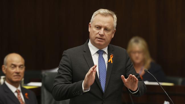 Premier Jeremy Rockliff. Final day of state parliament for 2024.  Picture: Nikki Davis-Jones