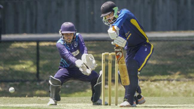 CSB: Mark Fitch batting for Dingley. Picture: Valeriu Campan