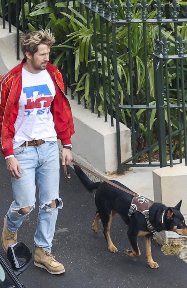 Hollywood superstar Ryan Gosling films in Sydney with some canine co-stars, for his new movie The Fall Guy, with an unknown female actor and three dogs. Picture: Media Mode