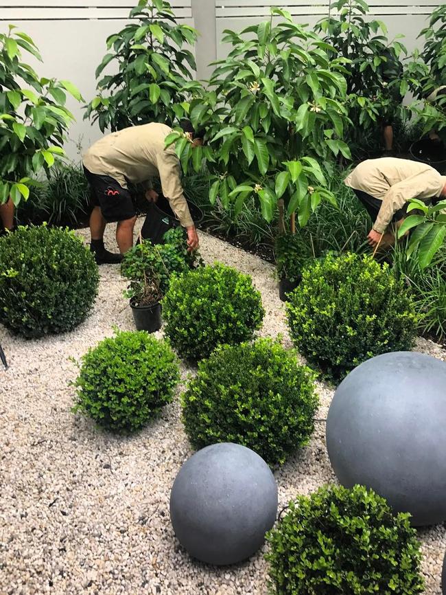 Jacenko gets some of her own gardening done at her office. Picture: Instagram