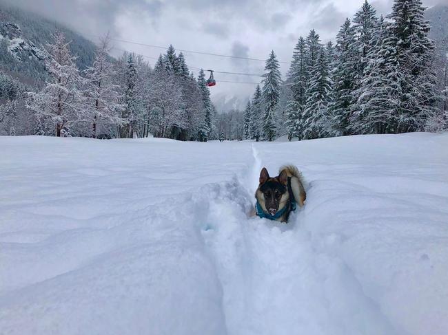 Fun in the snow at the French Alps.