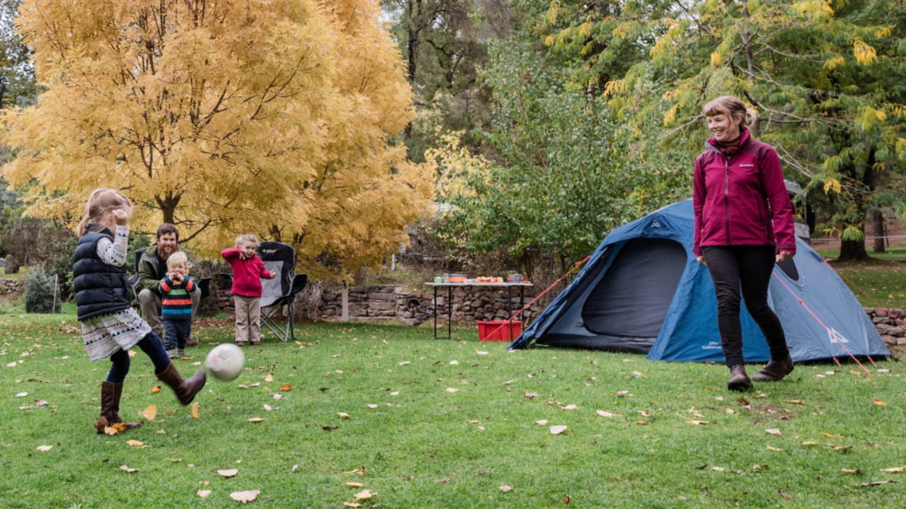 Campsites could be free in Aussie state this summer