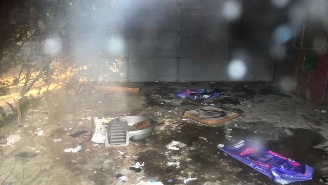 Alleged living conditions at Storybook Farm-Sacred Animal Garden in 2018 in Canungra. Submitted by a Gold Coast resident who did not want to be identified. Picture: Supplied.