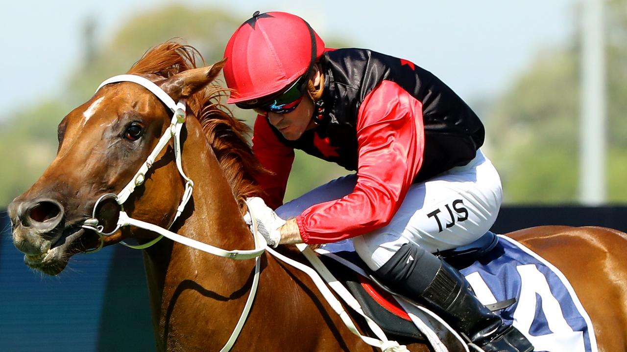 Smart filly Opal Ridge is the one to beat in the PJ Bell Stakes. Picture: Getty Images