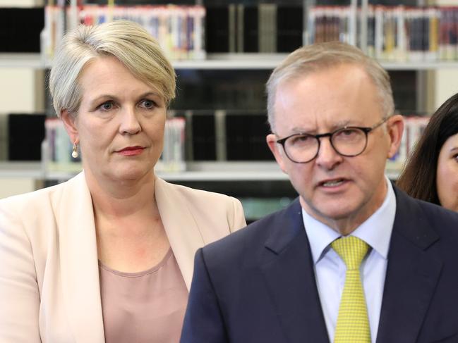 Rumours of a rift between Plibersek and Albanese have been rife during the campaign. Picture: Liam Kidston