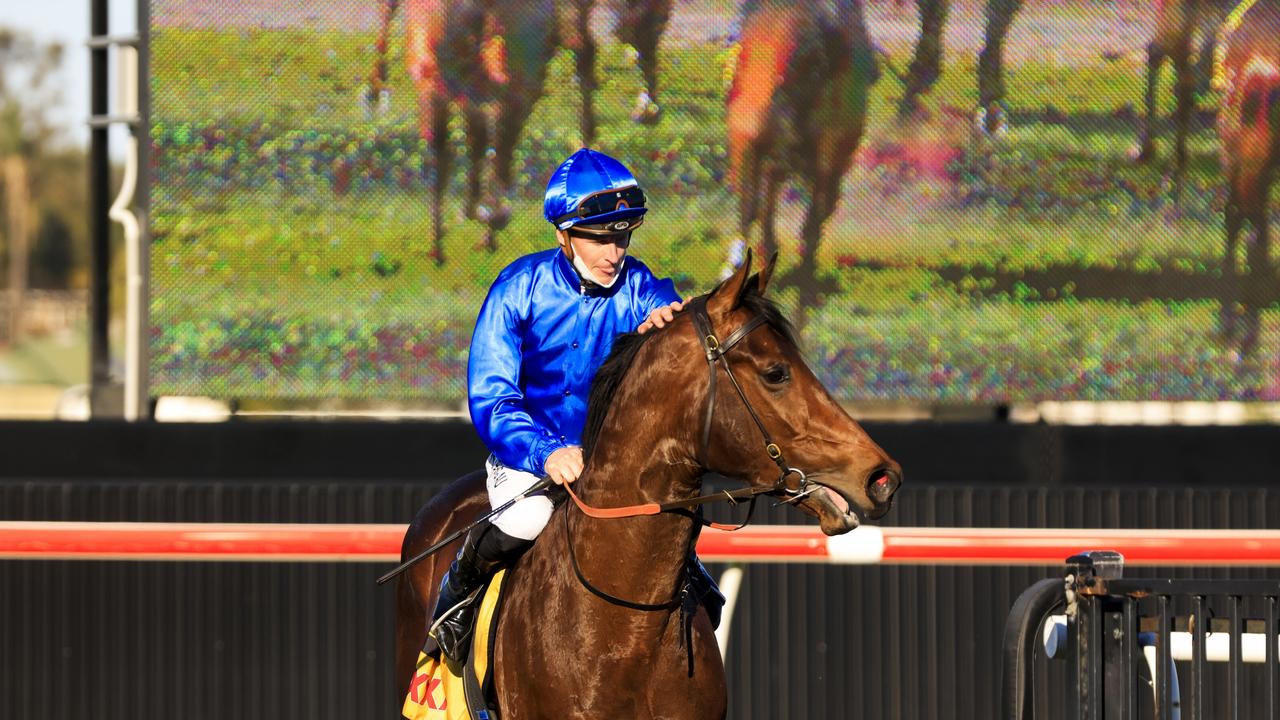 Anamoe ($225,000) is Jett’s best for the first round of SuperCoach Racing. Picture: Mark Evans/Getty Images