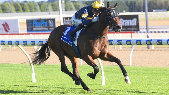 Girl ridden by Blake Shinn wins the Hygain Winners Choice BM64 Handicap at Sportsbet-Ballarat Racecourse on February 14, 2024 in Ballarat, Australia. (Photo by Pat Scala/Racing Photos via Getty Images)