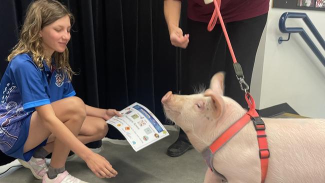 Penelope the Pig graduated from Sadadeen Primary School with near perfect attendance.