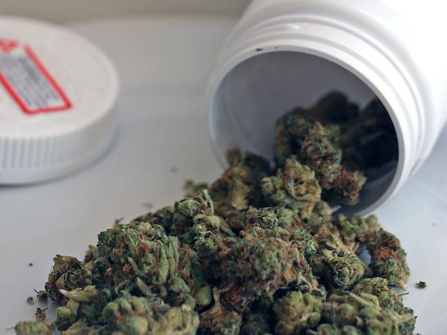 SYDNEY, AUSTRALIA - NewsWire Photos - NOVEMBER 10, 2023: General generic editorial stock image of medical medicinal cannabis marijuana weed. Picture: NCA NewsWire