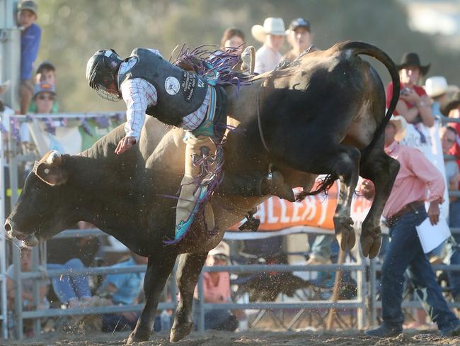 Jackson Jefferies in the 2nd Division Bull Ride. Picture: Yuri Kouzmin