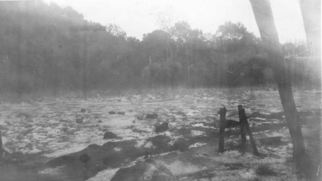 Snow fell at Burton's Well on the Bunya Mountains in 1939, at that time the forestry workers were building the walking tracks in the area.