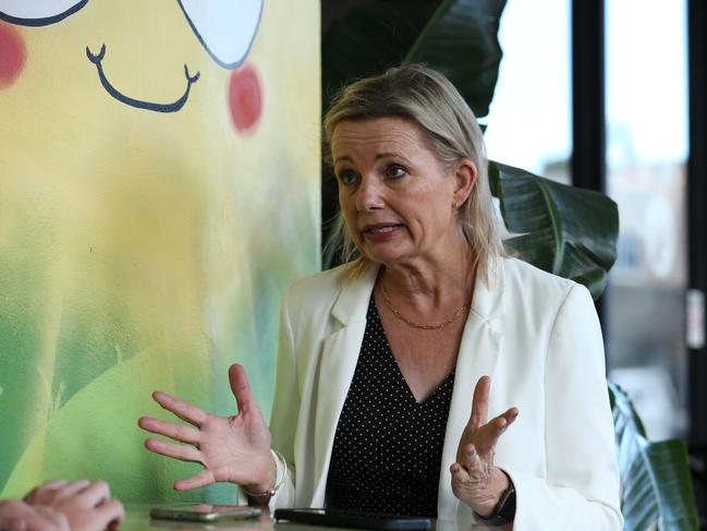 Deputy Liberal leader Sussan Ley is campaigning against the dispensing reforms. Picture: Britta Campion / The Australian