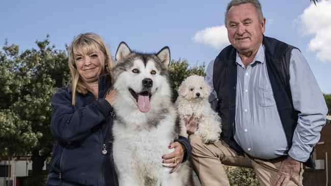 Jo Heard with her Alaskan Malamute and Brian Parker with his Bolognese Rosie at Dogs SA in Kilburn. Picture Simon Cross