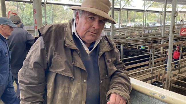 Livestock agent David Phelan at the Leongatha store cattle sale August 8 2024. Picture: Madeleine Stuchbery