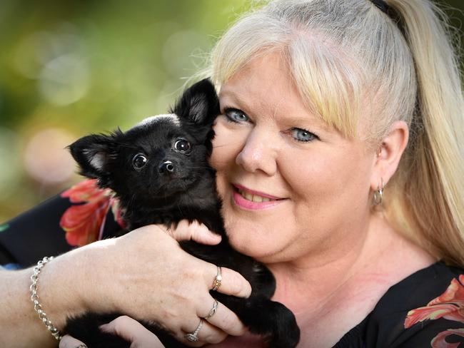 Mountain Creek winner for cutest dog Melissa Payne with her 3 month old Minnie, a long hair Chihuahua. Picture: Patrick Woods.