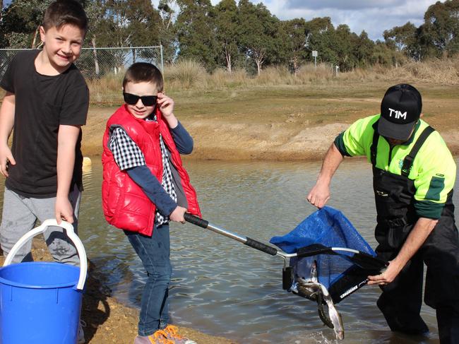 Louis and Cameron help release rainbow trout at Yarrambat Lake.