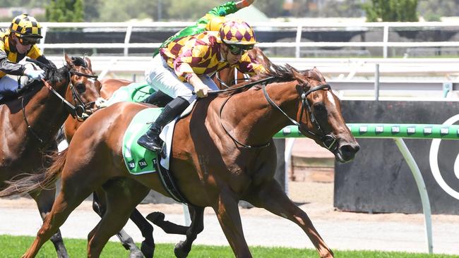 Xarpo winning at Flemington on New Year’s Day. Picture: Brett Holburt/Racing Photos via Getty Images