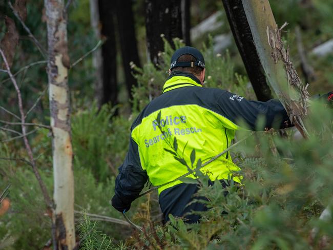 Missing persons squad detectives scour dense bushland in the Mount Hotham area. Picture: Jason Edwards