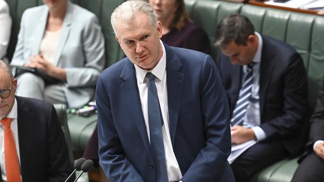 Home Affairs Minister Tony Burke is reviewing Mr Beydoun’s visa. Picture: NewsWire / Martin Ollman