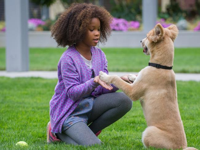 New Annie ... Oscar winner Quvenzhane Wallis has been nominated for her starring role in the new version of “Annie”. Pictur: AP Photo/Columbia Pictures