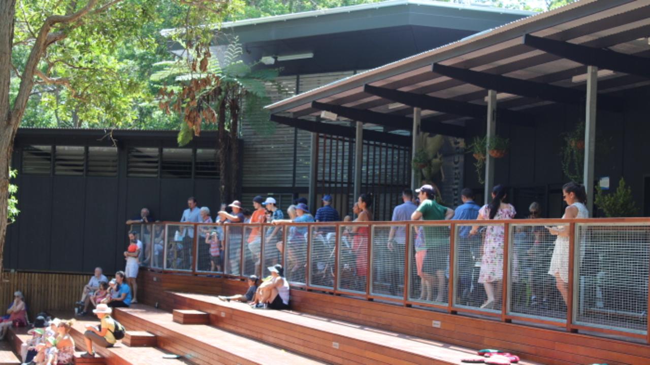 Crowds at the opening of the new IndigiScapes Centre at Capalaba. PICTURE: Kara Sonter