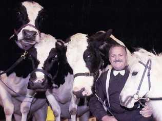 Circus Royale head trainer Robin Howell with his performing cows and pony Lobo. Picture: Contributed