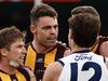 Hawk slams AFL tribunal, calls whole process a ‘circus’