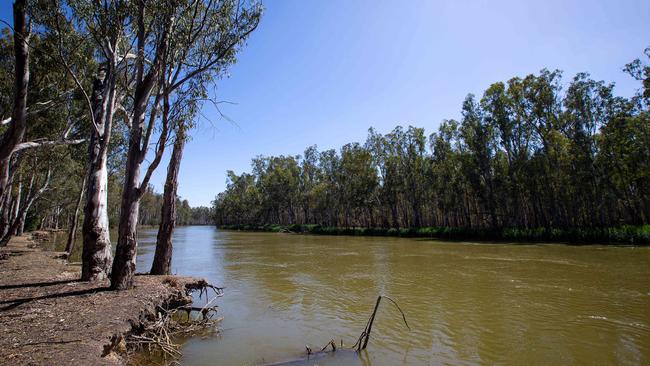 Erosion along the edge of the Murray River in the Barmah National Park is evidence of the damage, Numurkah residents say. Picture: Mark Stewart