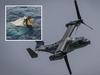 US military grounds entire fleet in big move