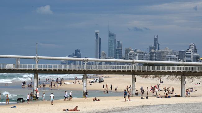 The Spit is a popular off leash dog beach. Picture: Steve Holland