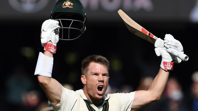 David Warner celebrates after reaching his triple century. Picture: AFP Photo