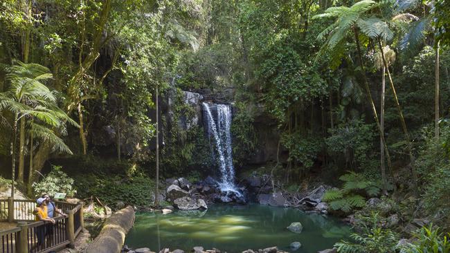 Curtis Falls