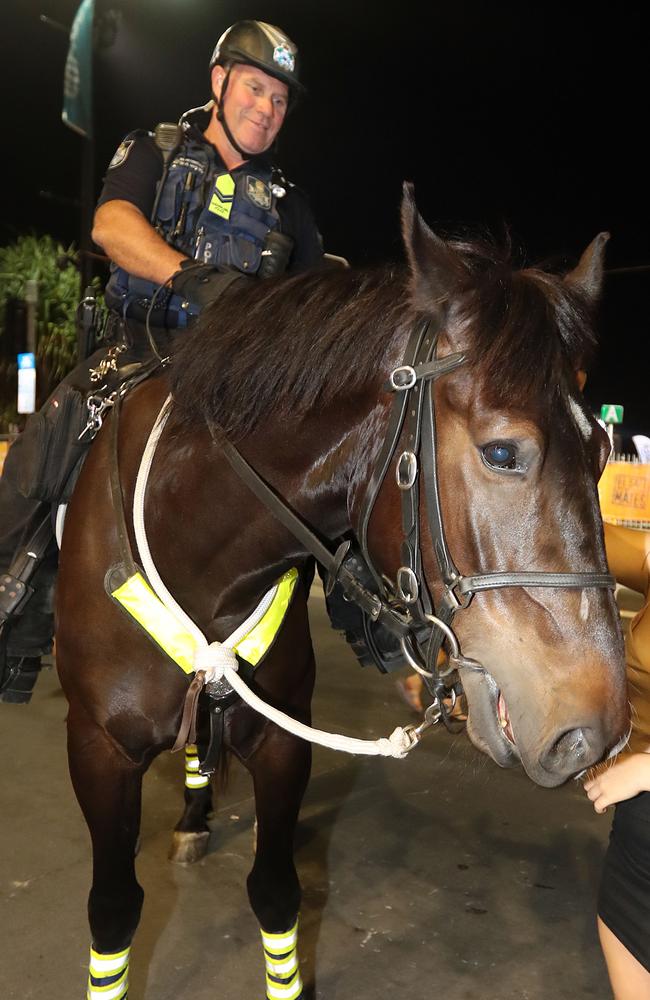 Senior Constable David Masters on Judo the police horse on patrol at Schoolies. Picture: Richard Gosling