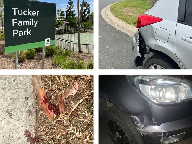 Bellbird Park residents say groups of up to 50 teenagers at tucker Family Park have been vandalising their cars, drug dealing and drinking. Blood was spotted on the ground after an alleged stabbing.